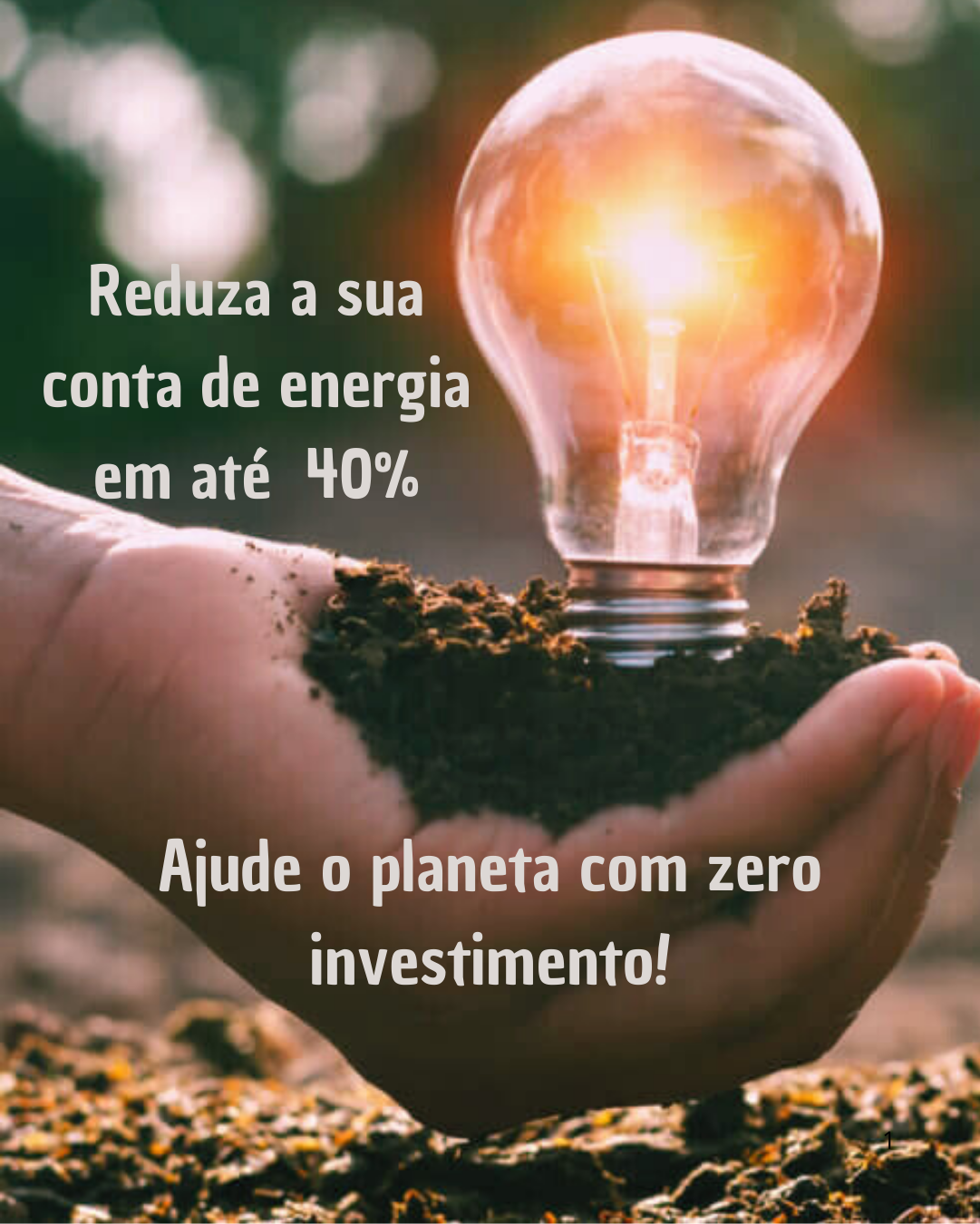 Como funciona a Alexandria